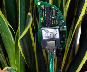 Resmi gerçek boyutunda g�rmek için tıklayın.

Resmin ismi:  20120122075844_cicek.jpg
G�r�nt�leme: 1
B�y�kl�ğ�:  24,9 KB (Kilobyte)